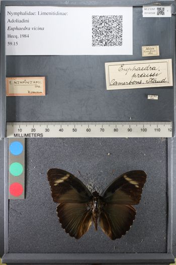 Media type: image;   Entomology 142508